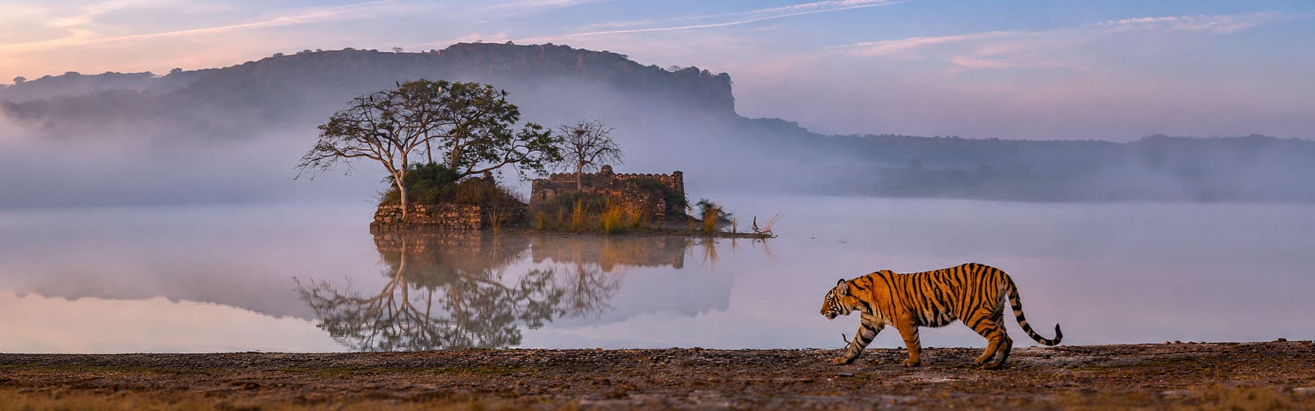 Ranthambore