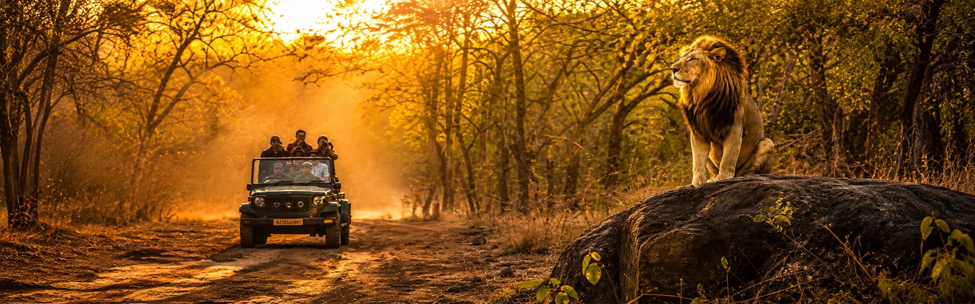 Sasan Gir