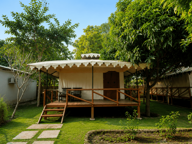 Rajwara Machaan Tent — photo 1